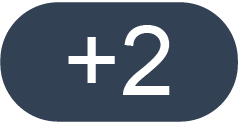 A grey oval with a white +2 in the center. 